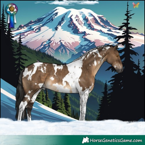 Horse Color:Gray White Spotted Brown Dun Tobiano Rabicano