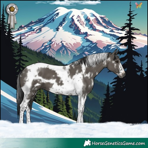 Horse Color:Gray White Spotted Grullo Tobiano Frame