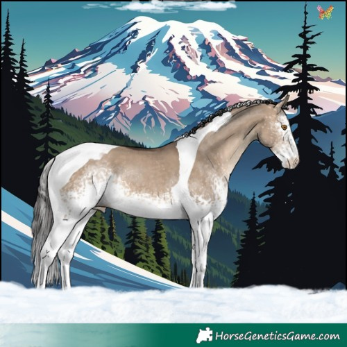 Horse Color:White Spotted Brown Dun Tobiano 