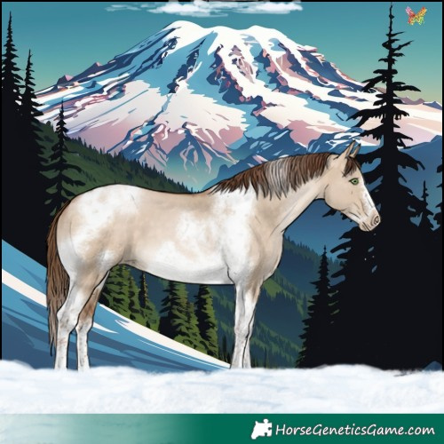 Horse Color:Brown Pearl Dun Tobiano Frame