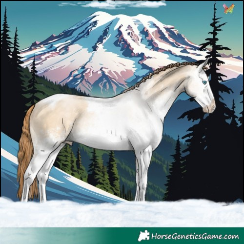 Horse Color:White Spotted Buckskin Pearl Dun Tobiano Rabicano