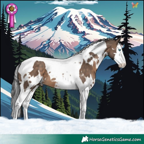 Horse Color:White Spotted Brown Dun Splash Tobiano