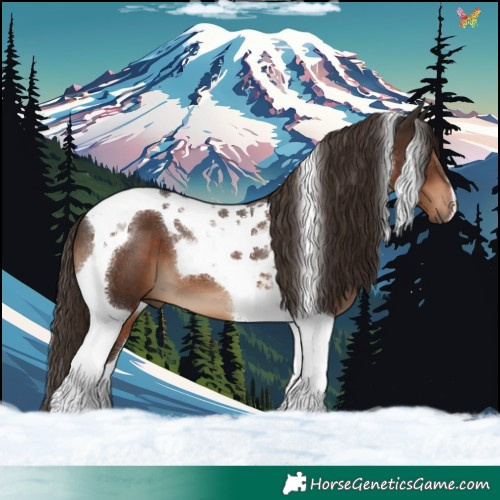 Horse Color:Liver Chestnut Tobiano