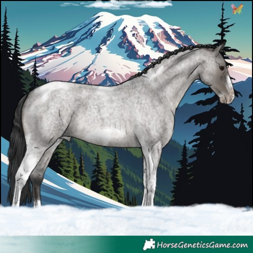 Horse Color:Grullo Roan Tobiano Frame 