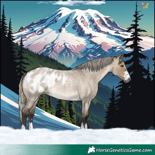 Horse Color:Gray Silver Brown Roan Dun Blanket