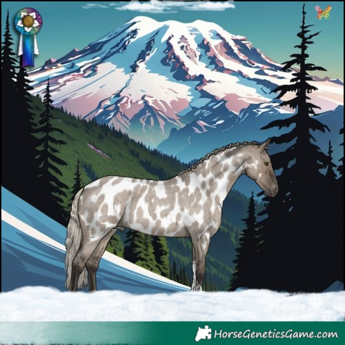 Horse Color:Gray Silver Grullo Roan Tobiano Near Leopard