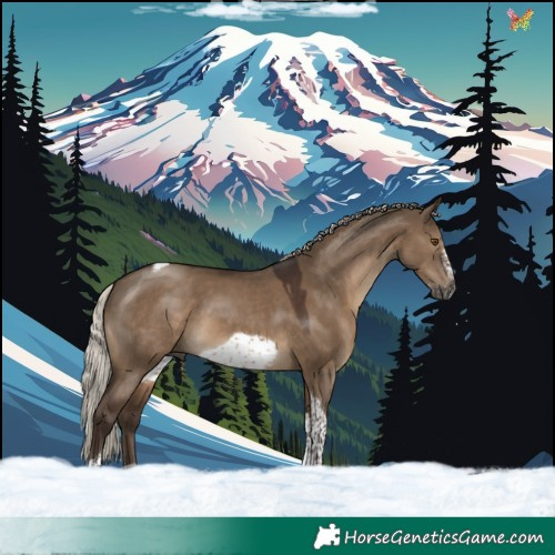 Horse Color:Gray Silver Grullo Tobiano Frame Rabicano