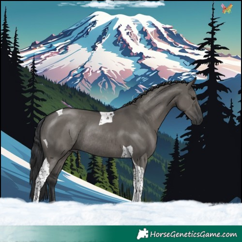 Horse Color:Grullo Tobiano Rabicano 