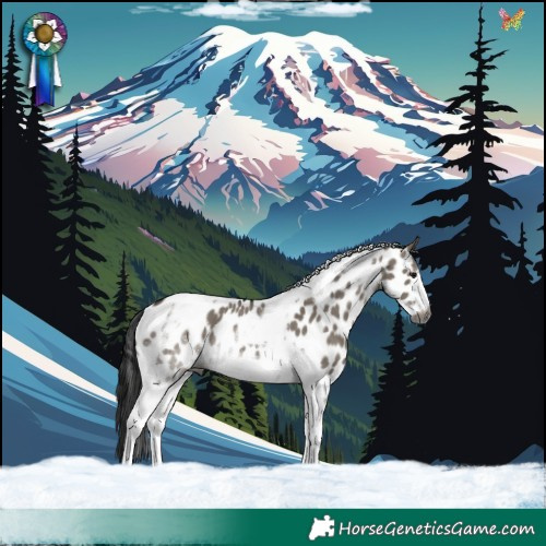 Horse Color:Gray Grullo Tobiano Frame Near Leopard Rabicano