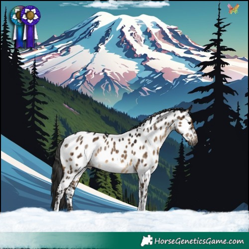 Horse Color:Gray Brown Dun Tobiano Near Leopard Rabicano Brindle 