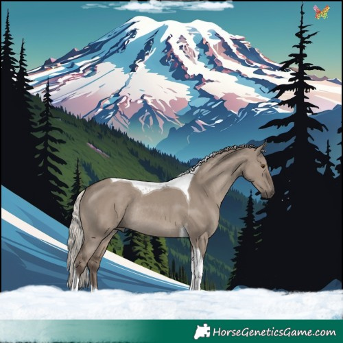 Horse Color:Silver Grullo Tobiano Rabicano 