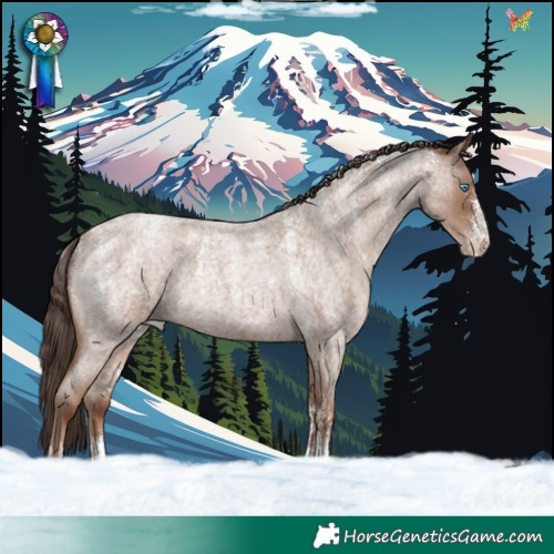 Horse Color:Powder White Classic Champagne Roan 