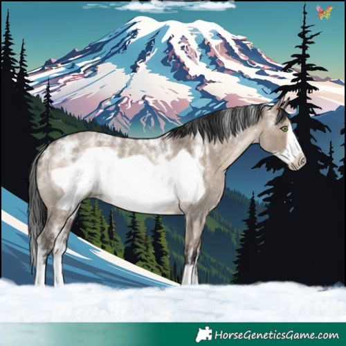 Horse Color:Powder White Brown Roan Dun Frame 