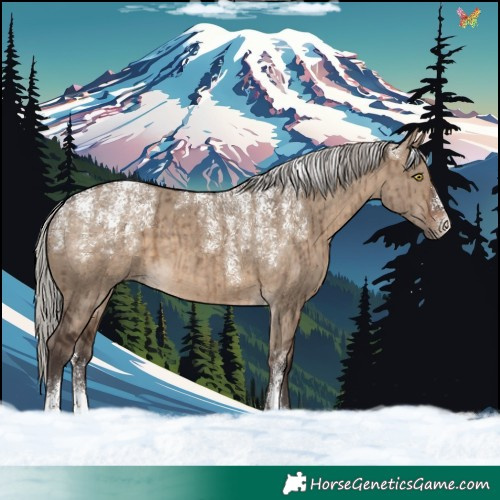 Horse Color:Powder White Silver Brown Dun Brindle