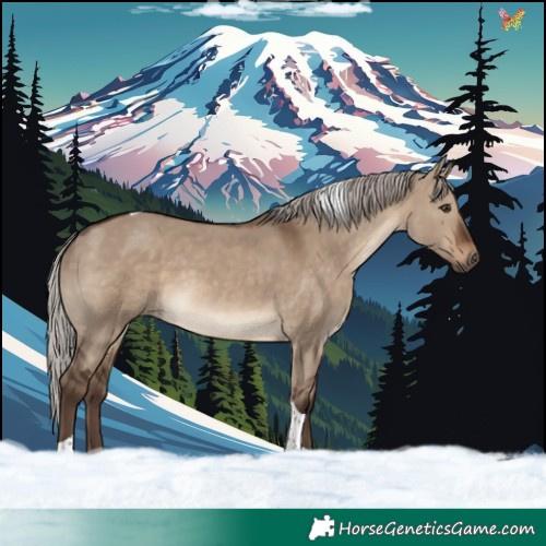 Horse Color:Silver Brown Dun Tobiano