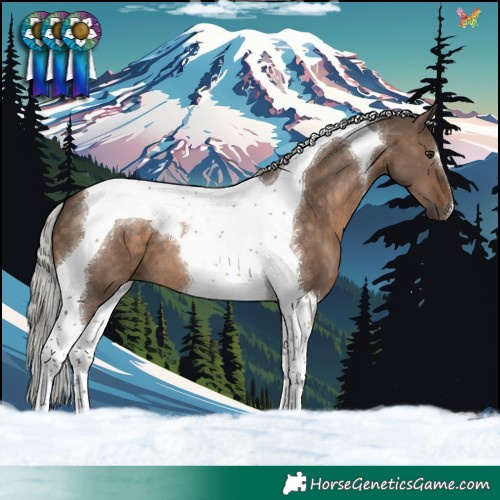 Horse Color:Silver Brown Dun Tobiano