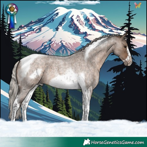 Horse Color:Silver Brown Roan Dun Tobiano Frame