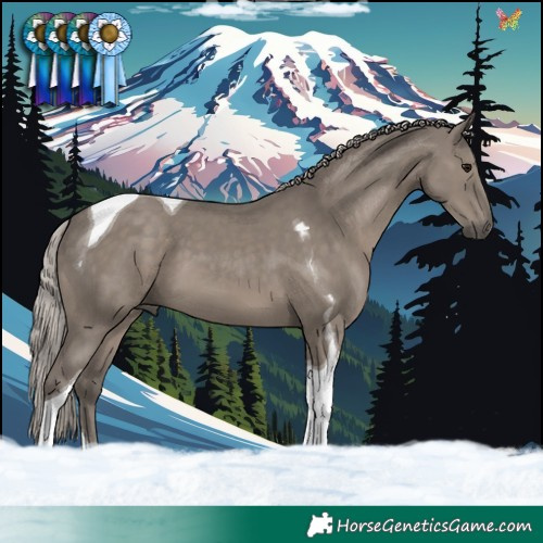 Horse Color:Silver Grullo Tobiano
