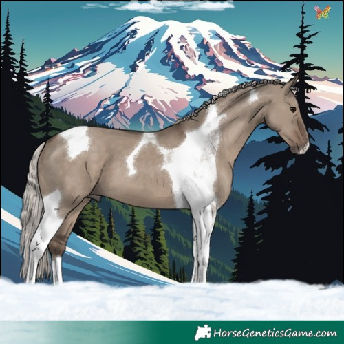 Horse Color:Silver Grullo Tobiano 