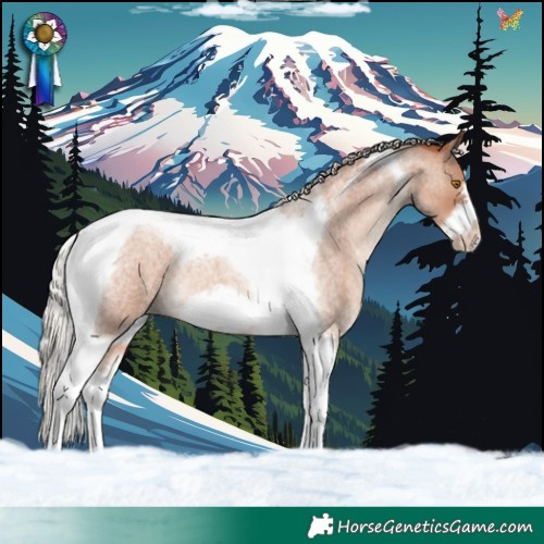 Horse Color:Silver Classic Champagne Roan Tobiano Frame 