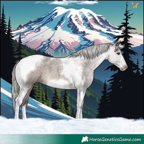 Horse Color:Silver Blue Roan Tobiano Frame