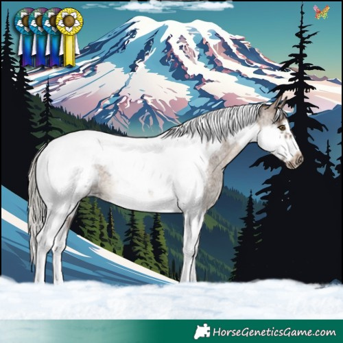 Horse Color:Silver Brown Roan Dun Tobiano Frame