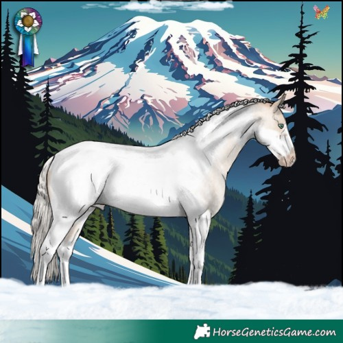 Horse Color:Silver Sable Champagne Roan Dun Tobiano Frame