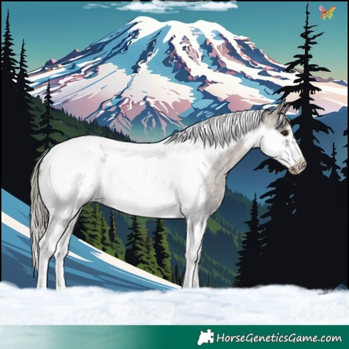 Horse Color:Silver Grullo Roan Tobiano Frame 
