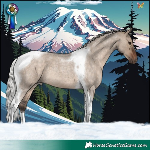 Horse Color:Silver Brown Roan Dun Tobiano