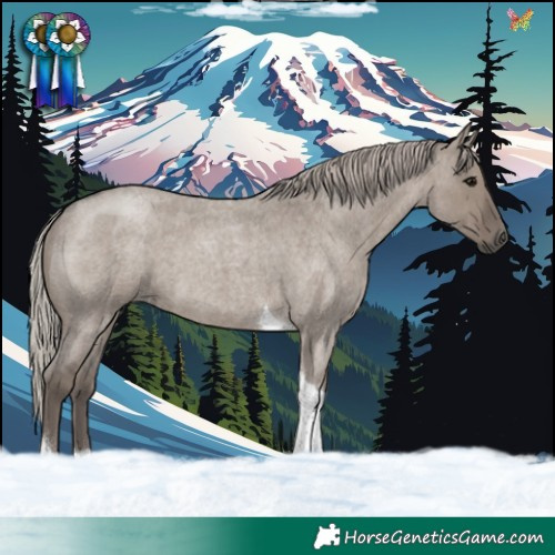 Horse Color:Silver Grullo Roan Tobiano