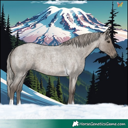 Horse Color:Silver Grullo Roan Tobiano