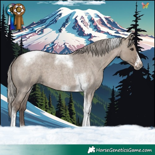 Horse Color:Silver Grullo Roan Tobiano Frame