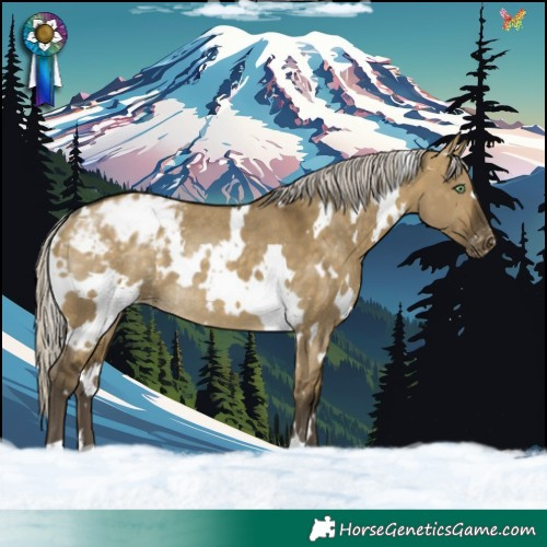 Horse Color:White Spotted Silver Buckskin Dun Varnish Rabicano 