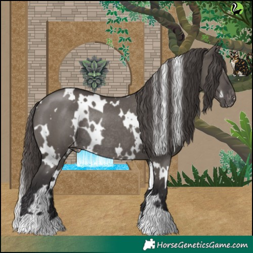 Horse Color:White Spotted Smoky Grullo Varnish Rabicano