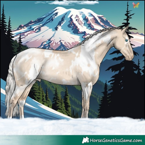 Horse Color:White Spotted Silver Perlino Dun Varnish Rabicano