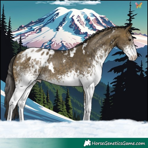 Horse Color:White Spotted Buckskin Dun Varnish Rabicano