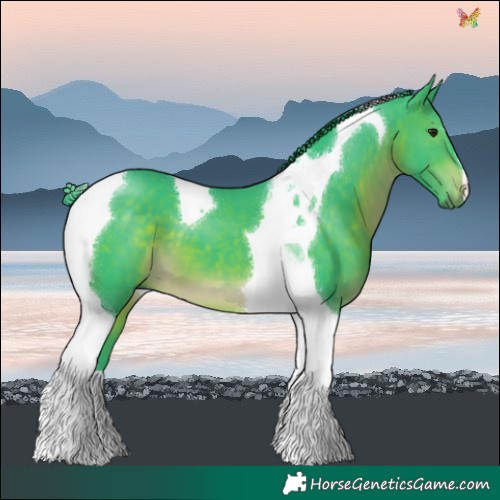 Horse Color:Watercolor Brown Tobiano