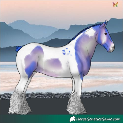 Horse Color:Gray Watercolor Brown Onyx Tobiano Varnish 