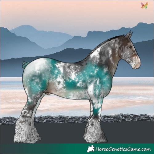 Horse Color:Brown Sabino Tobiano Blanket 