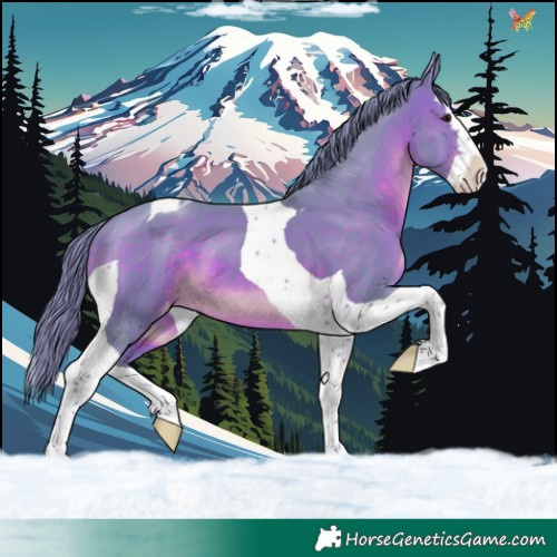 Horse Color:Watercolor Brown Splash Tobiano Blanket