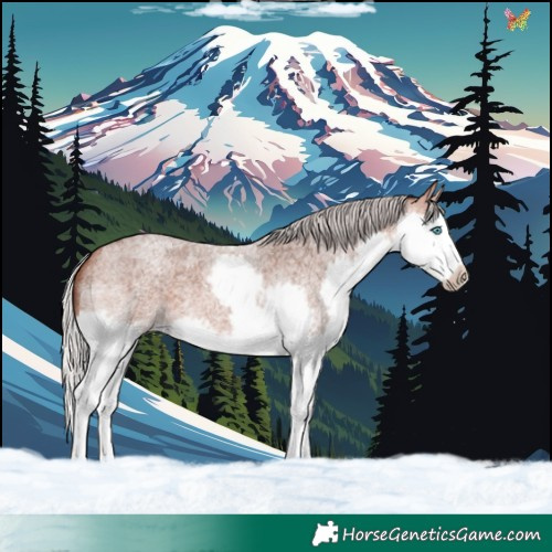 Horse Color:Silver Bay Roan Mushroom Splash Frame Rabicano