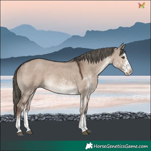 Horse Color:White Spotted Liver Red Dun Mushroom Rabicano 