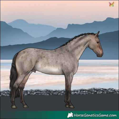 Horse Color:Brown Roan Dun Mushroom Rabicano
