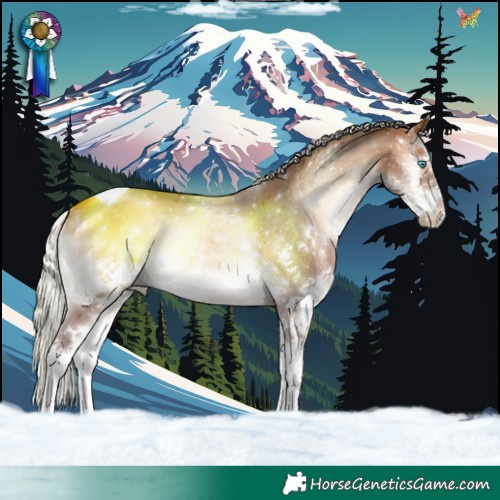Horse Color:White Spotted Silver Brown Onyx Splash Tobiano