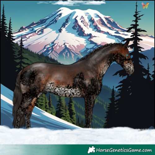Horse Color:Void Bay Splash Tobiano