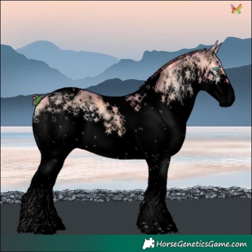 Horse Color:Void Painted Watercolor Liver Red Onyx Ice Splash Tobiano