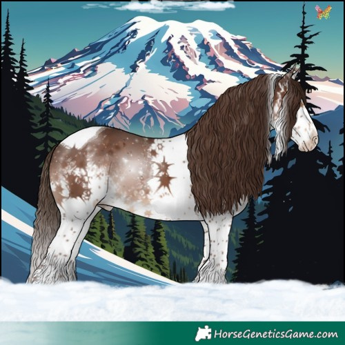 Horse Color:White Spotted Liver Chestnut Splash Tobiano
