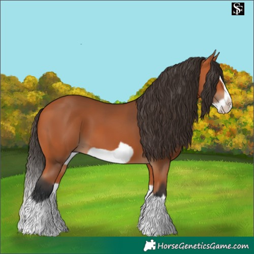 Horse Color:Bay Splash Frame and Bay Splash Frame