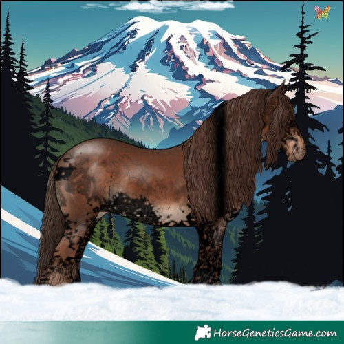 Horse Color:Void Liver Chestnut Splash Tobiano