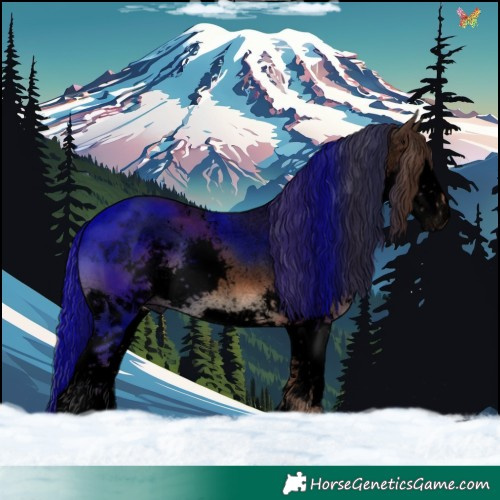 Horse Color:Void Liver Chestnut Sabino Splash